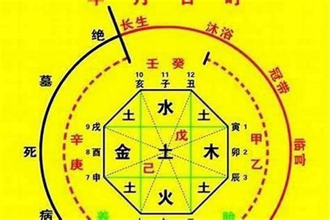 喜用神金|生辰八字算命、五行喜用神查询（免费测算）